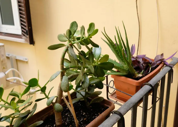 New, True-stevere Amazing Double Bed For 5 Pax * Rom